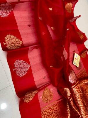 Red Pure Handloom Banarasi Organza Silk Saree with Kadua Zari Weave | Silkmark Certified