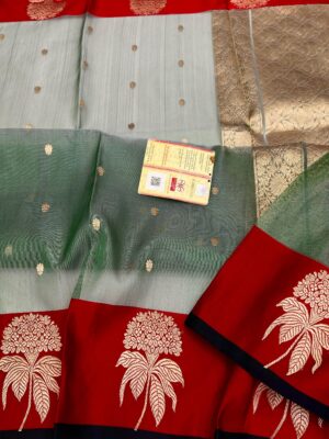 WhatsApp Image 2026-02-12 at 10.28.36 AM (1)