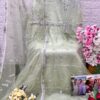 Pista Green Designer Georgette Net & Organza Suit – Ready to Ship |