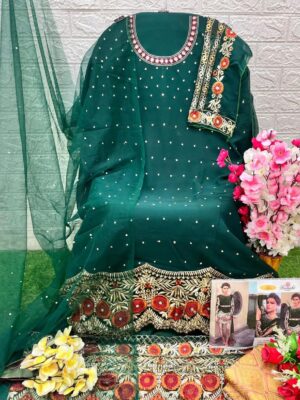 Green Designer Georgette Net & Organza Suit – Ready to Ship |