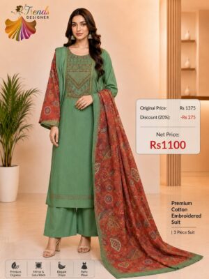 Mint Green Pakistani Style Pure Jaam Embroidered Dress with Box Pallu Dupatta