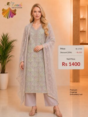 Premium Organza Embroidery Dress Material – Dove Grey | New Arrivals