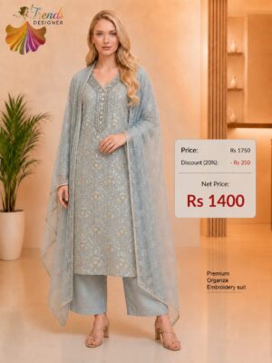 Premium Grey Organza Embroidered Dress Material for Women