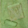Premium sage green organza embroidered dress material with matching embroidered organza dupatta.